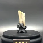 EZ2124